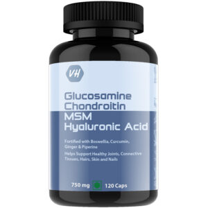 Glucosamine Chondroitin MSM + Hyaluronic Acid 120 Capsule