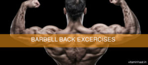 Read more about the article 7 Best barbell moves for building a back muscles