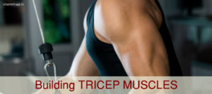 Read more about the article 5 Rules for Building Tricep Muscle
