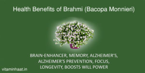 Read more about the article Indian Ayurvedic Herb – Health Benefits of Brahmi (Bacopa Monnieri)