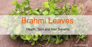 Read more about the article Brahmi Leaves: Health, Skin and Hair Benefits