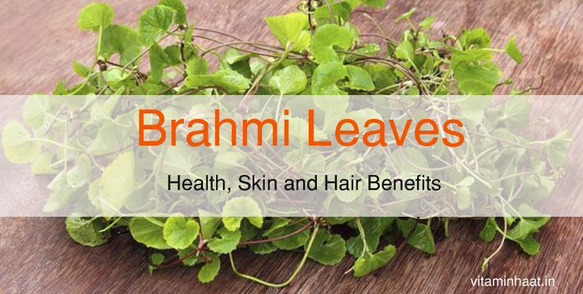 Read more about the article Brahmi Leaves: Health, Skin and Hair Benefits