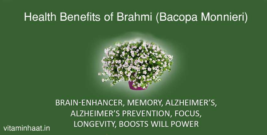 Read more about the article Indian Ayurvedic Herb – Health Benefits of Brahmi (Bacopa Monnieri)