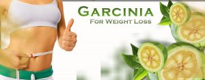 Read more about the article Garcinia Cambogia (Hydroxycitric Acid) Extract Safe for Weight Loss?
